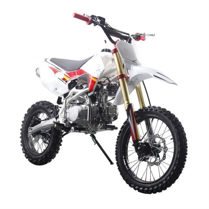 dirt bike 150cc (4)