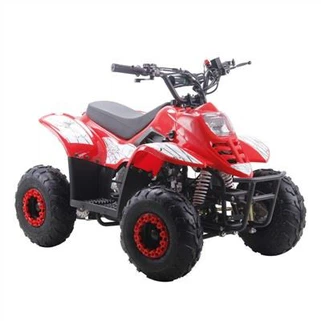 110cc-es automata ATV Quad gyerekeknek